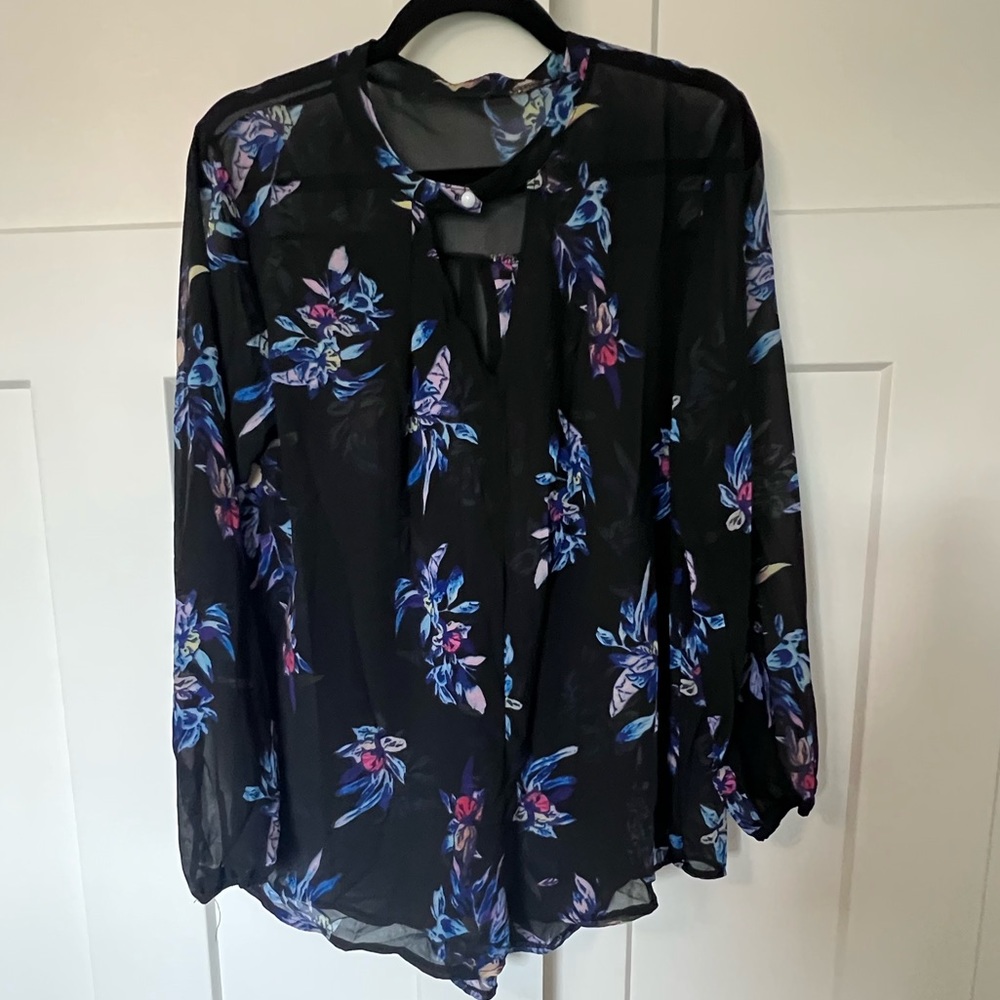 Black Sheer V Neck Long Sleeve Blouse